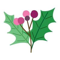 christmas holly berry vector