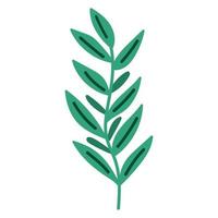 leaves foliage icon vector