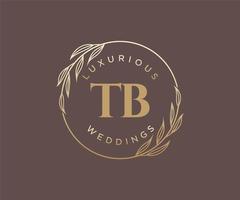 plantilla de logotipos de monograma de boda con letras iniciales tb, plantillas florales y minimalistas modernas dibujadas a mano para tarjetas de invitación, guardar la fecha, identidad elegante. vector