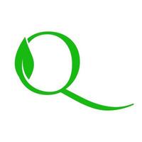 Initial Q luxury leaf vector