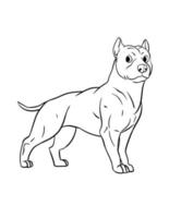 pit bull aislado página para colorear para niños vector