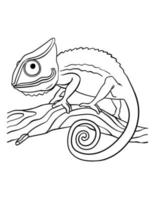 Chameleons Isolated Coloring Page for Kids vector