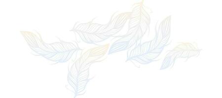 gradient feathers background Design Wallpaper Vector