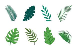 colecciones de elementos de hojas tropicales en ilustraciones planas diseño vectorial simple y elegante vector