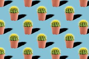 Seamless pattern with cactus on blue background photo