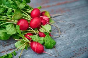 Fresh organic radish harvest on the table photo
