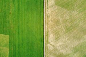 Aerial view of agricultural and green fields with texture in countryside photo