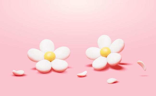 3D Daisy flowers with their fallen petals isolated on pink background