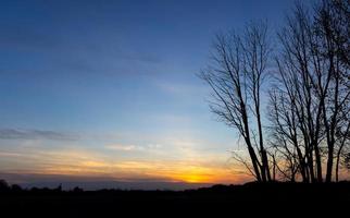 Silhouette of tall trees against sunset sky background photo