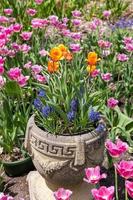 maceta con flores de tulipán de color brillante y jacintos, enfoque selectivo. foto