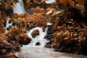 The beauty of a stream flowing in a rural area in Bali. photo