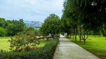 December 2022, jakarta Indonesia,green natural scenery with tropical trees in a garden photo