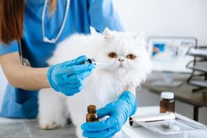 Female veterinary doctor using stethoscope for cute kitten and clean animal ears in animal hospital photo