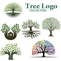 Tree Logo Collection Set Vector. vector