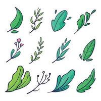 hand drawn floral ornament collection vector