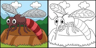 mosquito animal para colorear página color ilustración vector