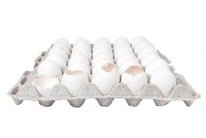 Carton of eggs isolated over white background frontal view. broken egg in package photo