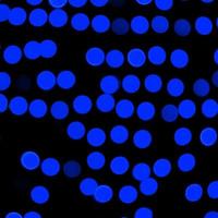 Unfocused abstract dark blue bokeh on black background. defocused and blurred many round light photo