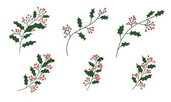 Set of hand draw branch with red berry. Vector illustration.