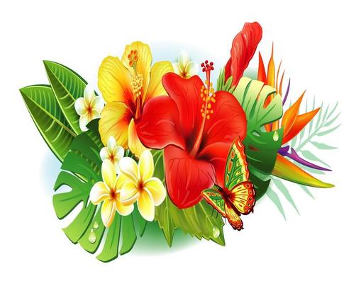 Jasmine Flower Vector Art, Icons, and Graphics for Free Download