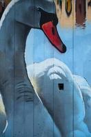 un fragmento de grafiti detallado de un dibujo realizado con pinturas en aerosol sobre una pared de baldosas de hormigón. imagen de fondo del arte callejero con un enorme cisne blanco foto