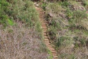 Staircase for going up and down. photo