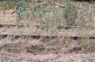 Fragments of the old railway from Haifa to Damascus. photo