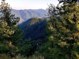 hermosas montañas y árboles foto