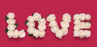 Word love made of rose flowers top view on viva magenta color background photo