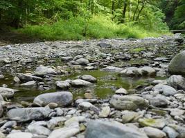 Rocky Riverbed and Water, Grass and Trees photo