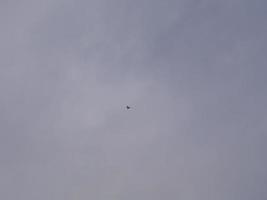 Lonely Seagull Flying in Cloudy Sky photo