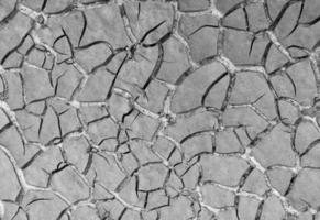 Close up weathered texture of arid cracked ground photo