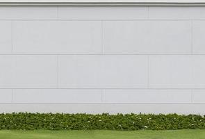 Muro de ladrillo de patrón de hormigón en blanco con pared de arbusto foto