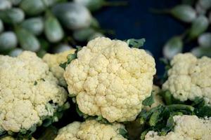 la coliflor crece en suelo orgánico en el jardín en el área de vegetales. cabeza de coliflor en condiciones naturales, primer plano foto