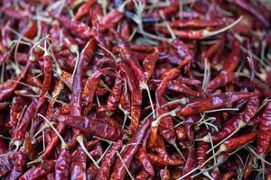 Lot of dried chili as a food background. photo