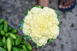 Cauliflower grows in organic soil in the garden on the vegetable area. Cauliflower head in natural conditions, close-up photo