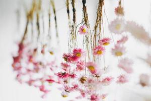 flores rosas secas en una cuerda cerca de la ventana, el fondo natural foto