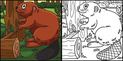 Beaver Coloring Page Colored Illustration vector