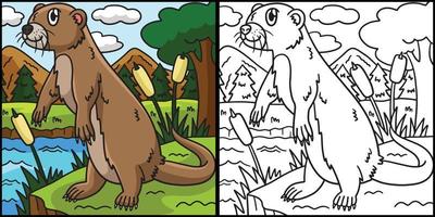 River Otter Coloring Page Colored Illustration vector