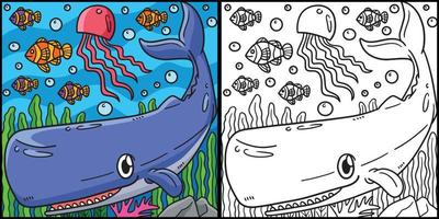 Sperm Whale Coloring Page Colored Illustration vector