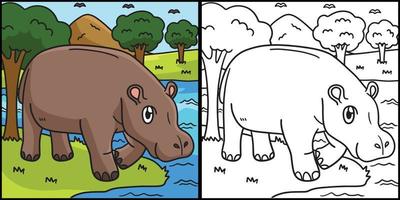 Hippo Coloring Page Colored Illustration vector