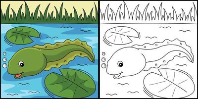 Tadpole Animal Coloring Page Colored Illustration vector