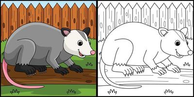 Opossum Animal Coloring Page Colored Illustration vector