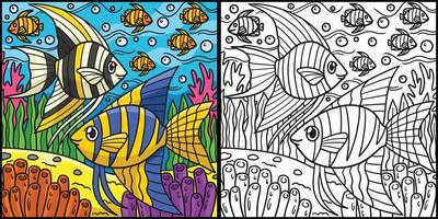 Angelfish Coloring Page Colored Illustration vector