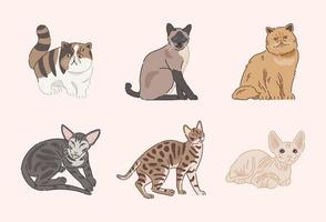 Cute Cats in flat design vector