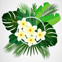 hojas tropicales con flores de plumeria y marco blanco sobre fondo aislado. vector