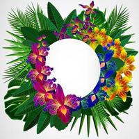 Tropical flowers and leaves. Floral design background. vector