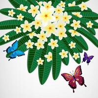 Eps10 Floral design background. Plumeria flowers with butterflies. vector