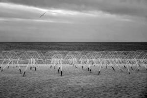 Black and white view at metal umbrellas on the winter beach. Nostalgic view photo
