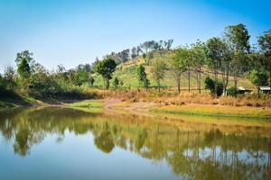 Pond on summer season forest with agricultural area and mountain background sunny day photo